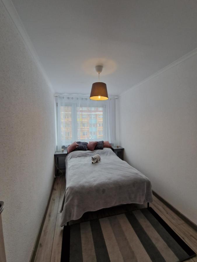 Apartament Gorska Panorama Schreiberhau Exterior foto